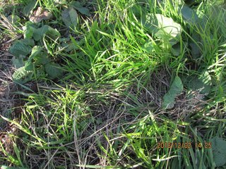 IMG_3152.JPG